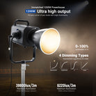 NEEWER AS1200B professional LED video spotlight