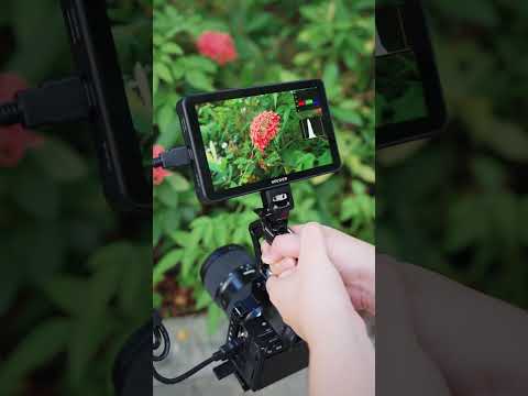 NEEWER F700 7