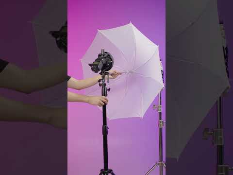Neewer – Soporte tipo S con soporte de Bowens para Flash, Caja de luz Beauty Dish Reflector tipo paraguas