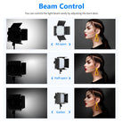 Neewer Professional LED Video Light Barn Door