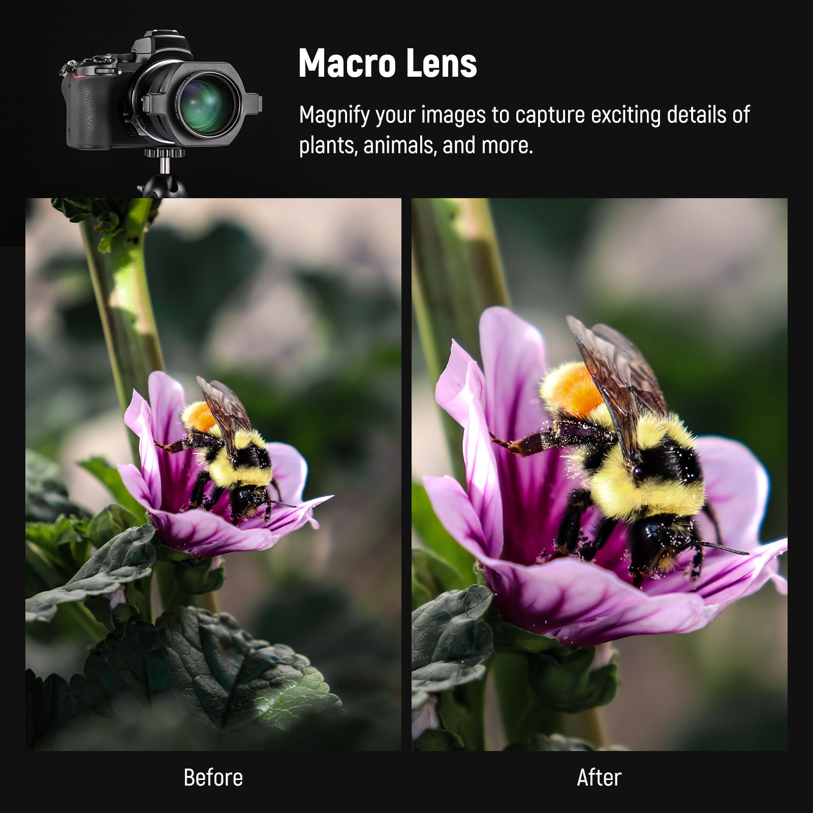 NEEWER LS-40 43mm HD Macro Lens - NEEWER
